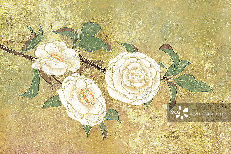 肌理岩彩风格植物系列十一月山茶花图片素材