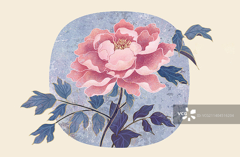 肌理岩彩风格植物系列四月牡丹图片素材