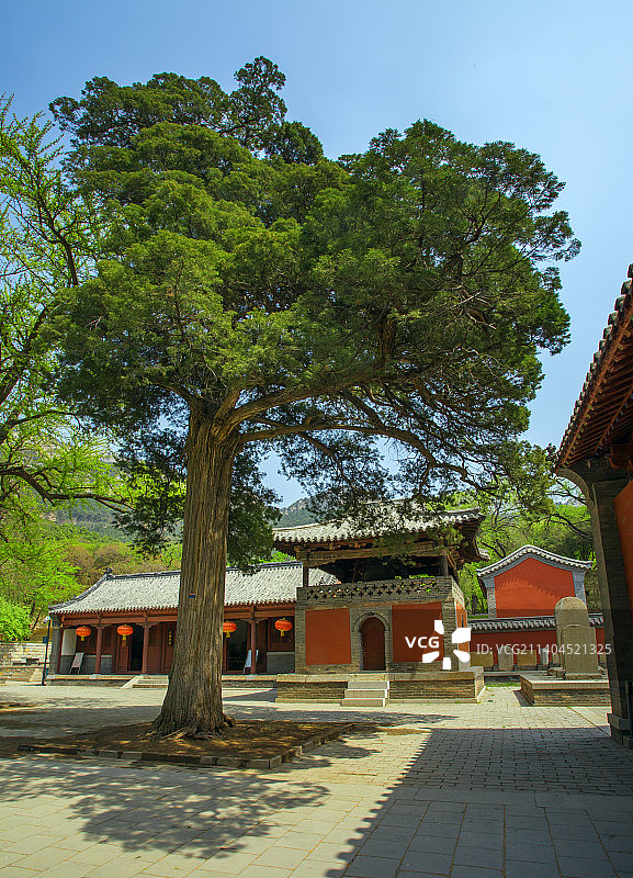 灵岩寺九如山图片素材