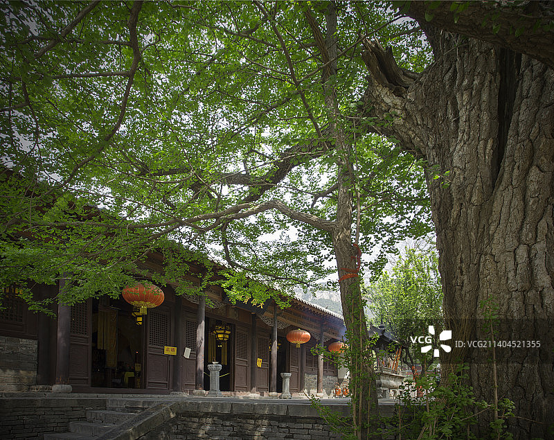灵岩寺九如山图片素材