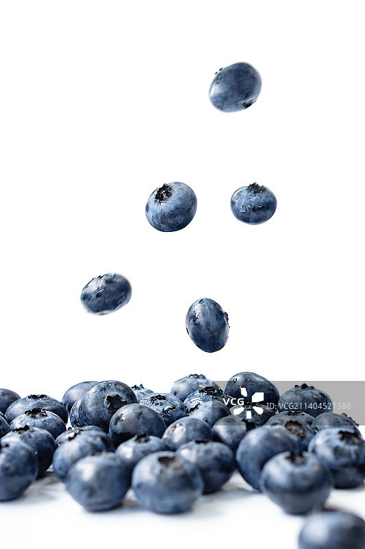 蓝莓图片素材