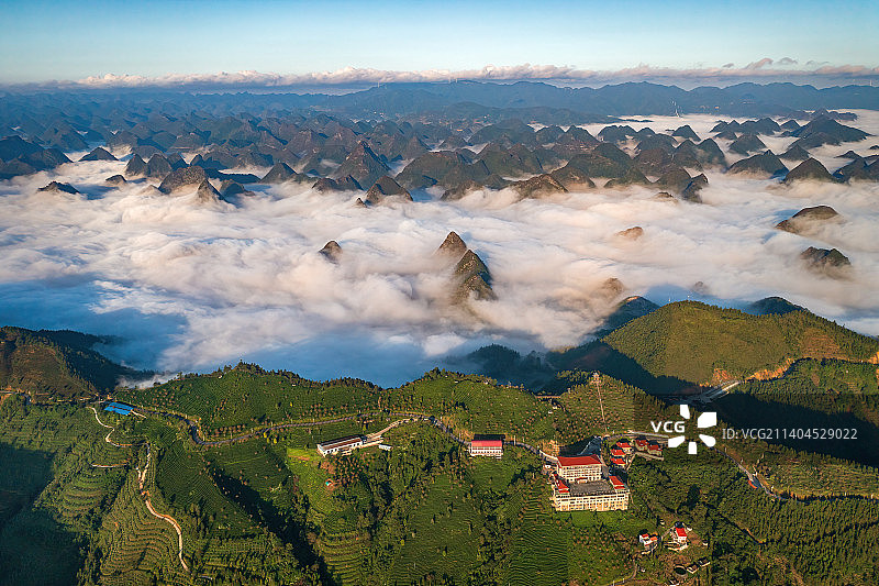 茶山日出图片素材