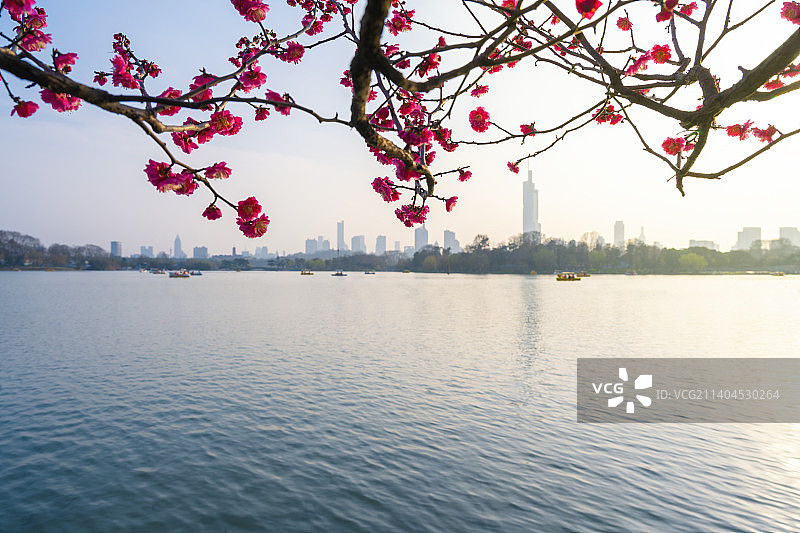 春暖花开图片素材