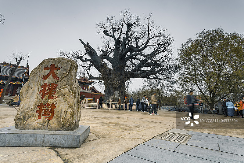 寻根祭祖园图片素材