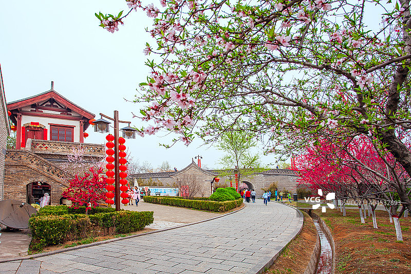 寻根祭祖园图片素材