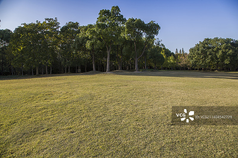 秋季城市公园草坪图片素材