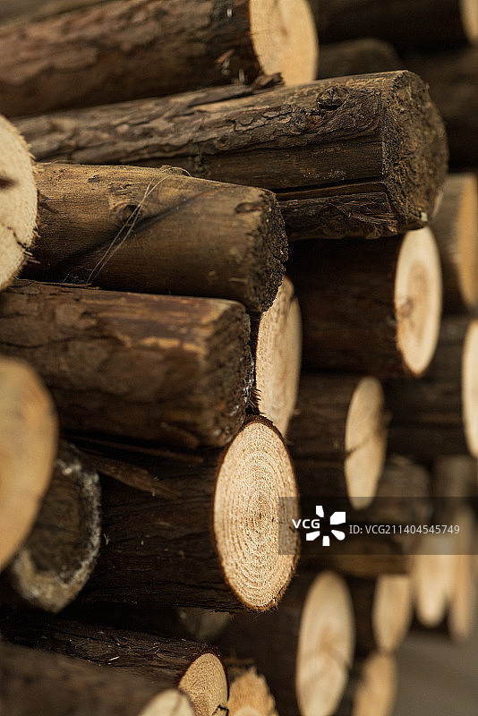 木头上的原木特写镜头图片素材