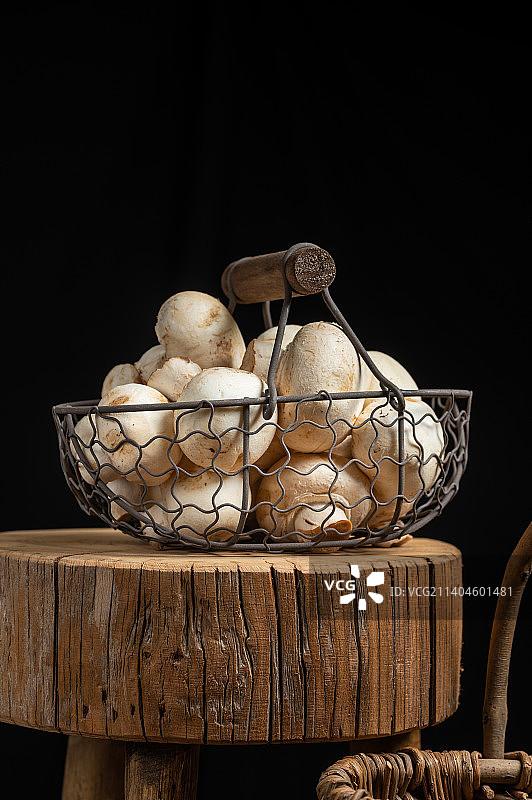 新鲜菌菇口蘑图片素材