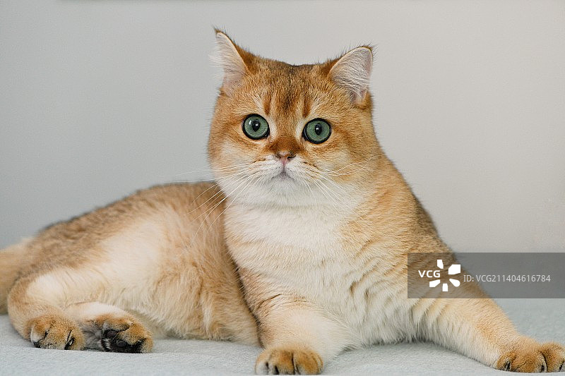 外面的世界图片素材