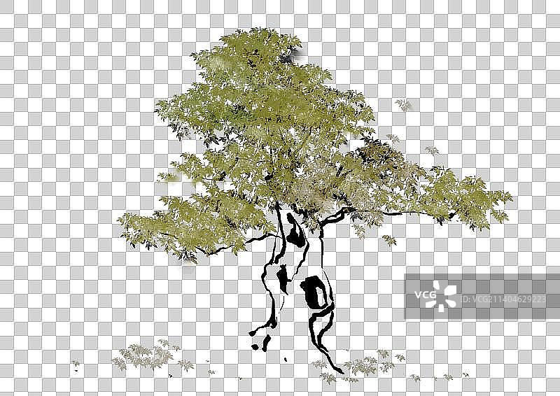 古典中国画传统水墨山水树图片素材