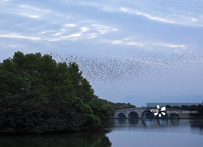 杭州萧山：湘湖风光图片素材