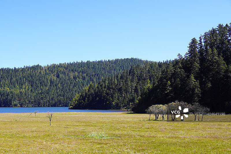 云南 普达措 碧塔海图片素材