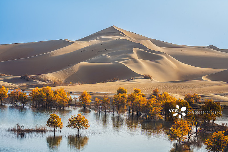 新疆葫芦岛胡杨林图片素材