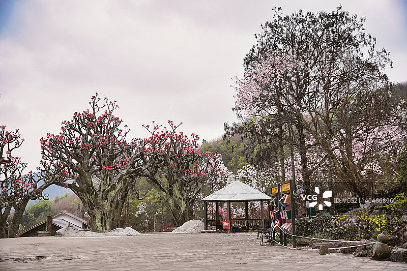 绵阳药王谷图片素材