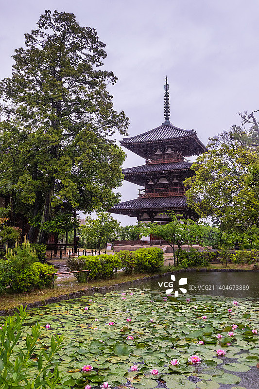 日本奈良的三重塔图片素材