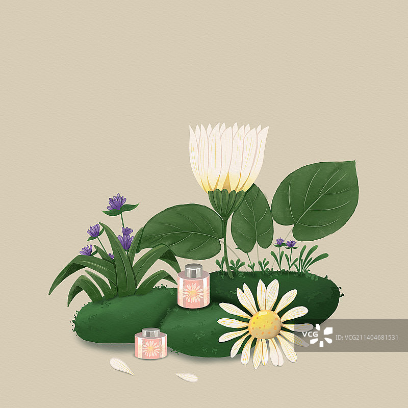 【包装】植物包装插画图片素材