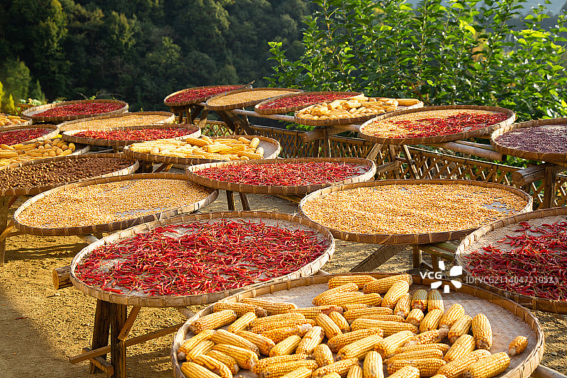 中国安徽省歙县“阳产土楼”晒秋景象图片素材