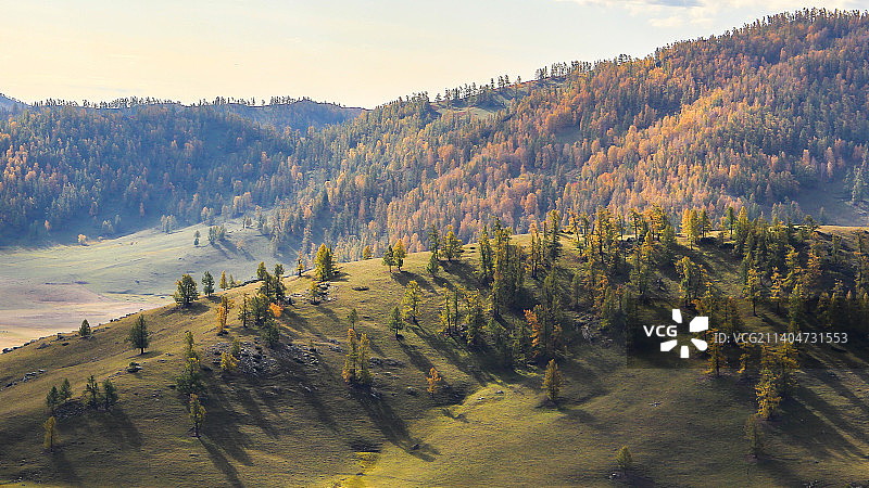 金秋喀纳斯图片素材