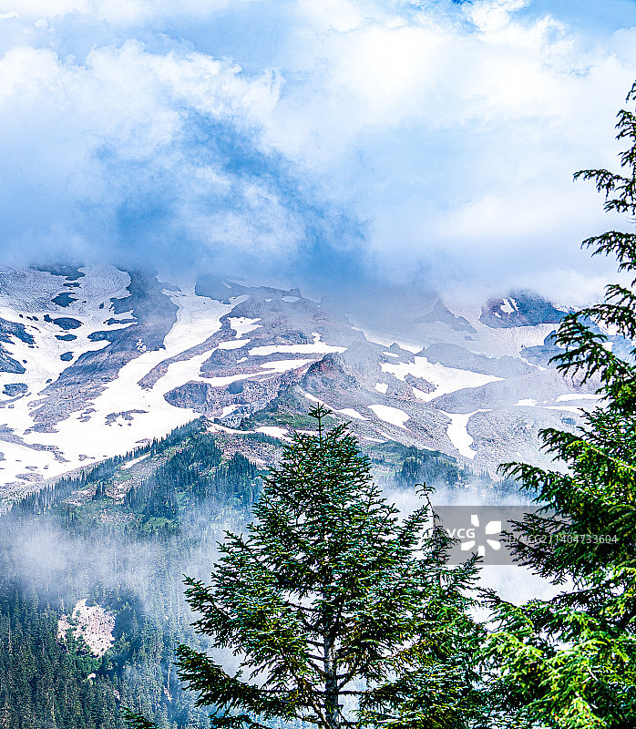 美国，华盛顿州，西雅图雷尼尔雪山 （Mt. Rainier）和森林图片素材