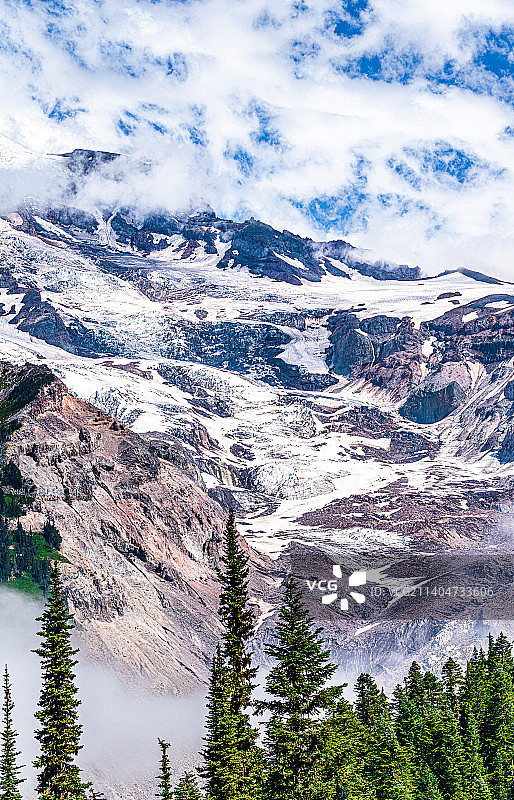 美国，华盛顿州，西雅图雷尼尔雪山 （Mt. Rainier）和森林图片素材