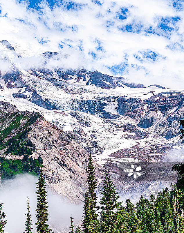 美国，华盛顿州，西雅图雷尼尔雪山 （Mt. Rainier）和森林图片素材