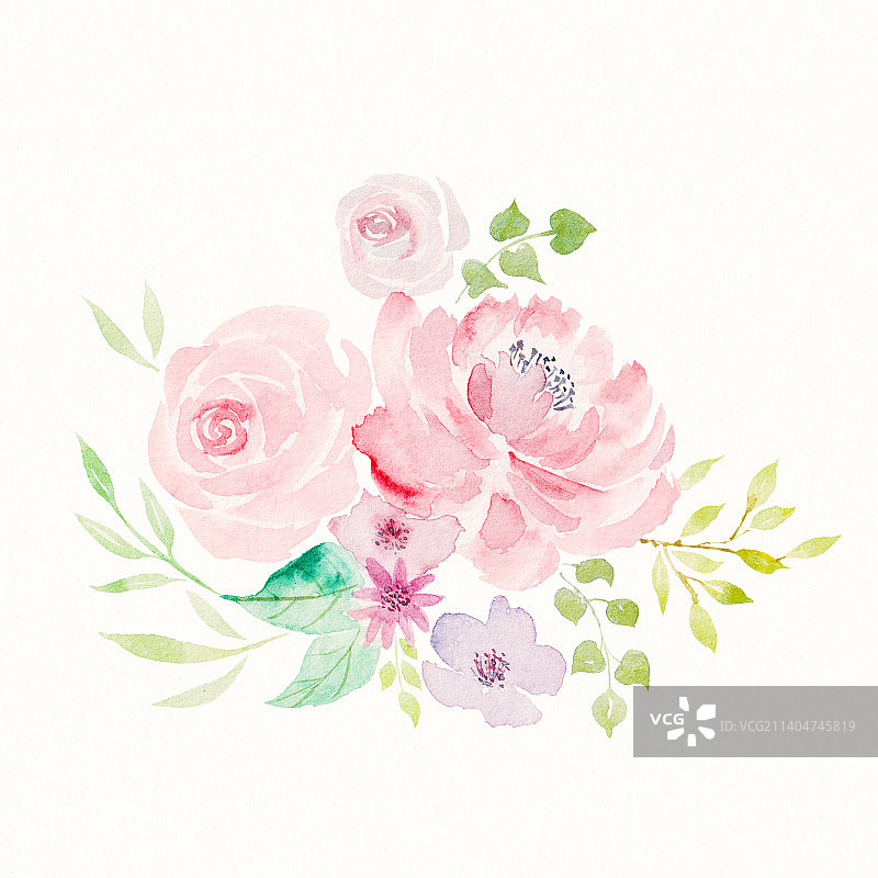 水彩粉色玫瑰花花团图片素材