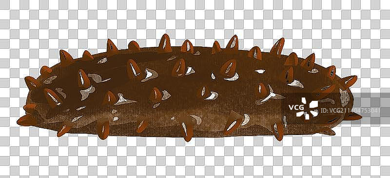 海鲜美食之海参图片素材