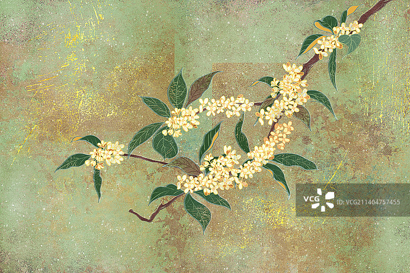 肌理岩彩风格植物系列八月桂花图片素材