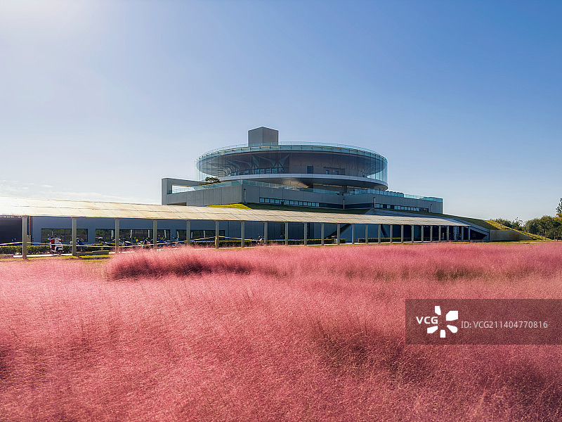 河南省郑州市郑东新区龙湖公共艺术中心（中原科技城投资促进中心）与粉黛乱子草秋景图片素材