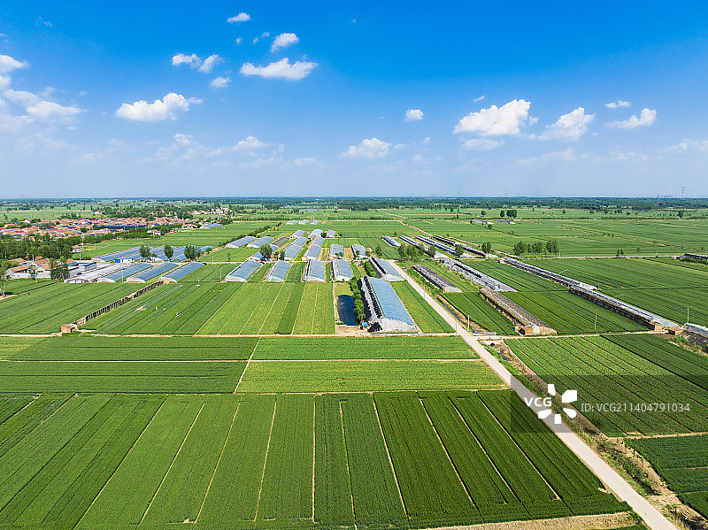 山东济南田野农田麦田航拍图片素材