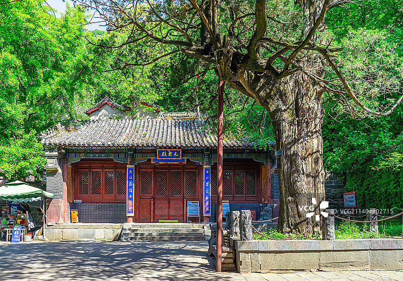 中国非都市风光拍摄主题，山东泰安国内著名景点泰山风景区，元君殿和古老的银杏树，户外白昼无人图像摄影图片素材