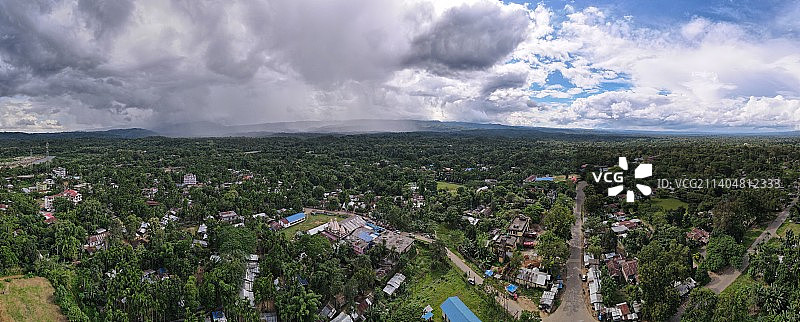 田野上的树木全景图片素材