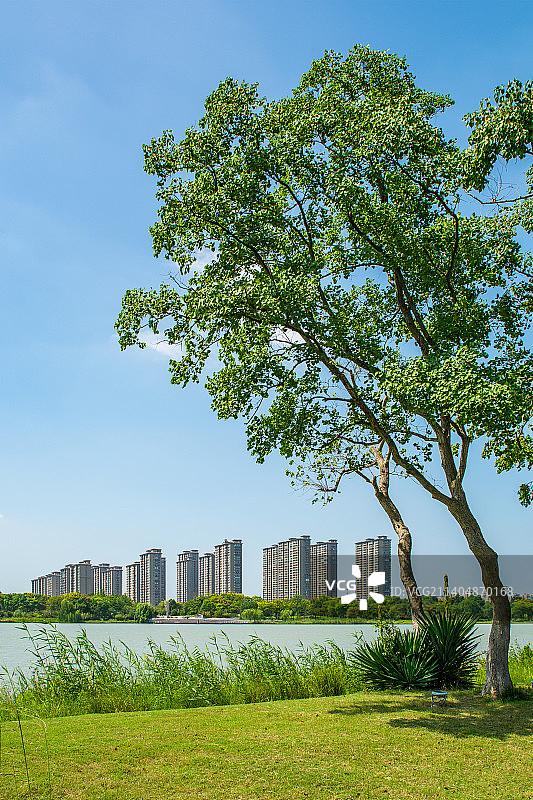 浙江海宁 海宁风光 鹃湖公园 房地产 楼盘 住宅小区 宜居图片素材