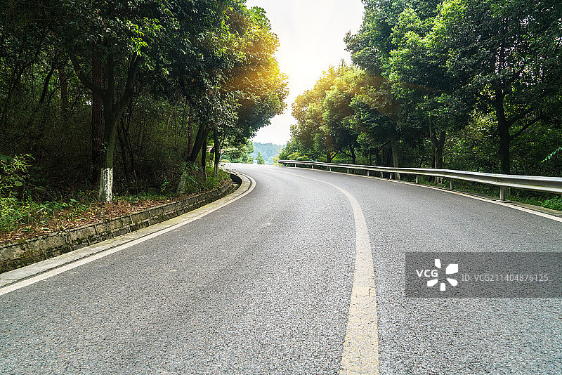 森林公路图片素材