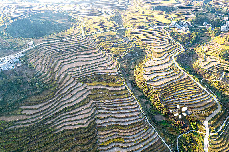 龙里县朵花万亩梯田秋收图片素材