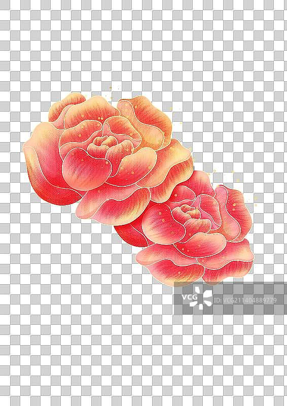 中国风扁平肌理清新喜庆牡丹植物插画图片素材
