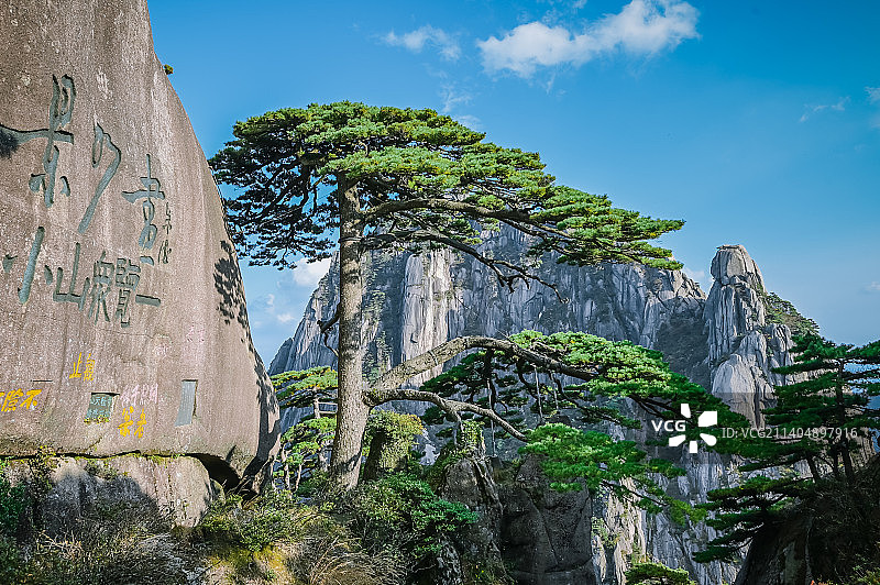 黄山迎客松图片素材
