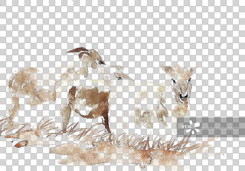 三只小羊图片素材