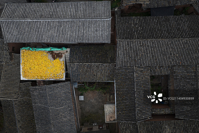 大理云龙县诺邓古村秋晒航拍图片素材