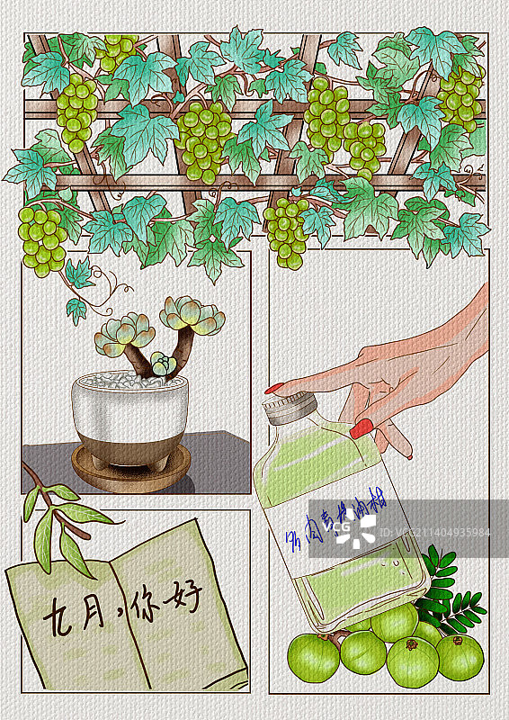 奶茶分镜-多肉青提油柑图片素材