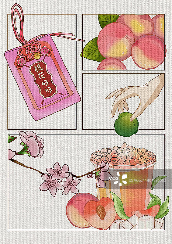 奶茶分镜-多肉桃李图片素材