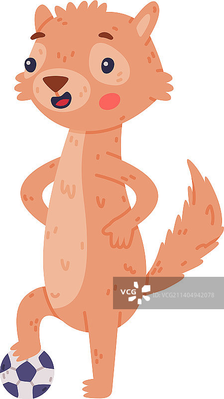 有着漂亮口鼻的可爱小非洲地松鼠图片素材