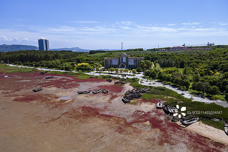 辽宁营口团山国家海洋公园的红海滩图片素材