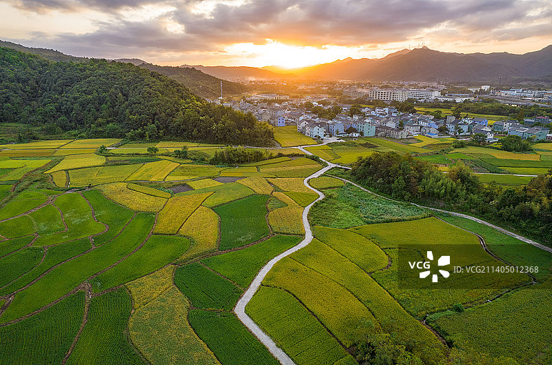 “十里红妆”嫁女场景，人们穿着红妆服饰，手举喜牌，高抬銮驾，浩浩荡荡从宁海县前童镇栅下村出发图片素材