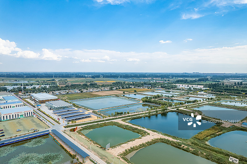 宁夏银川贺兰县稻渔空间金秋丰收图片素材