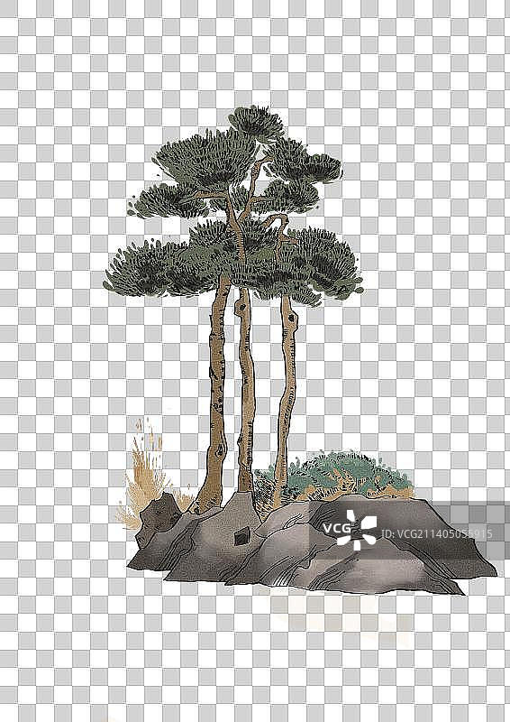 迎客松图片素材