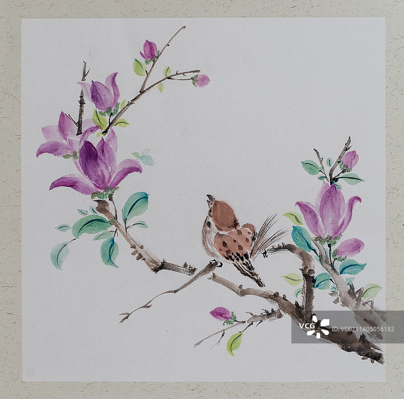 小鸟与紫玉兰图片素材
