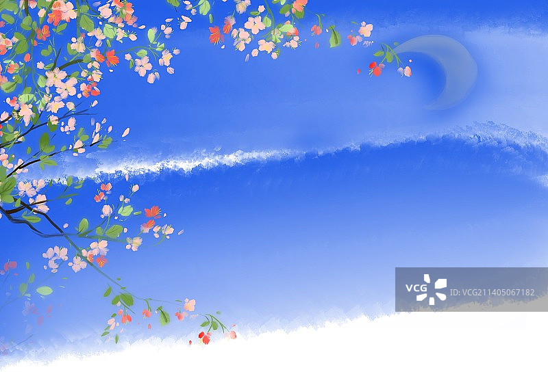 蓝天下开花植物的低角度视图图片素材