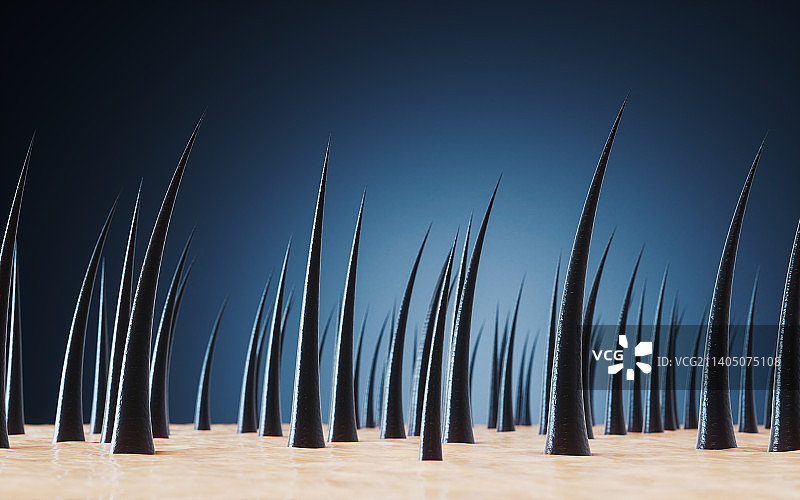 头发与皮肤3D渲染图片素材