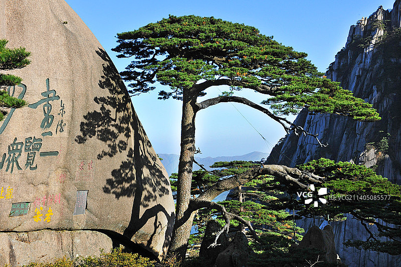 2009年12月01日，安徽，黄山风光。图片素材